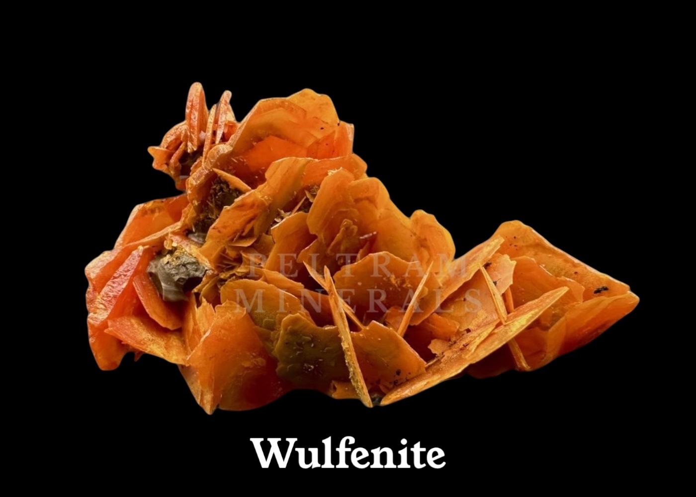 Wulfenite